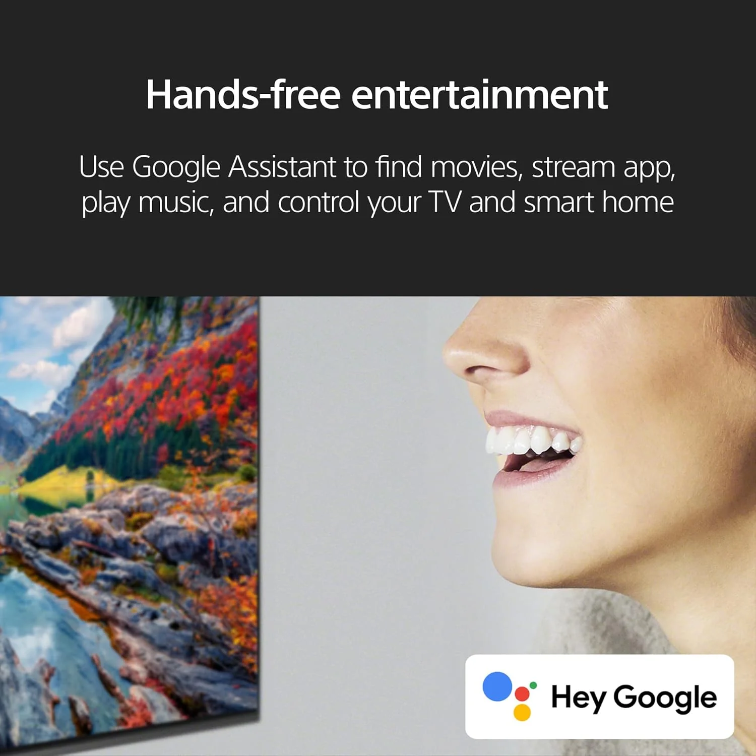 SONY 65 INCH X90L - Image 6
